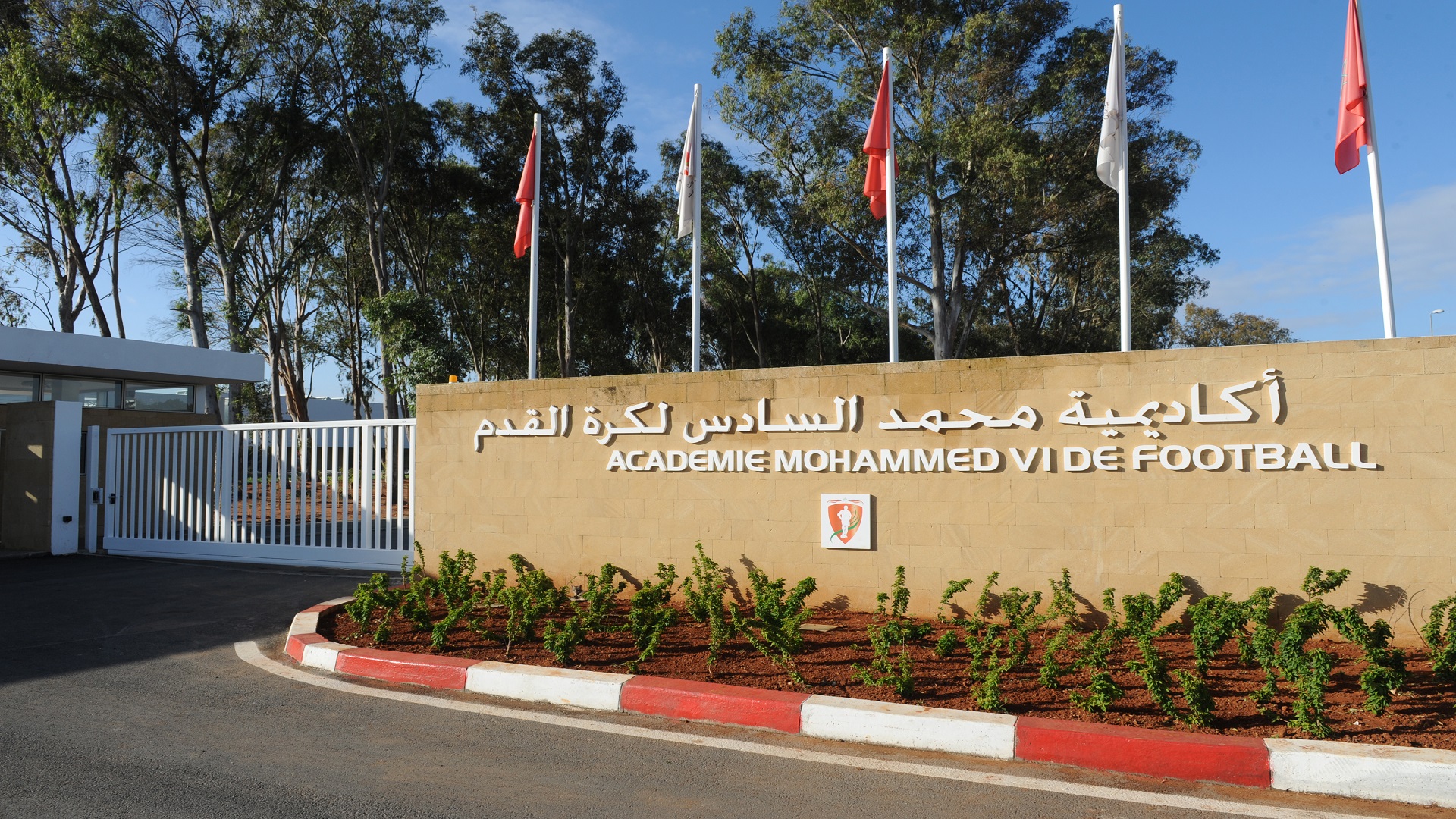 رابط وطريقة التسجيل في أكاديمية محمد السادس لكرة القدم 2023