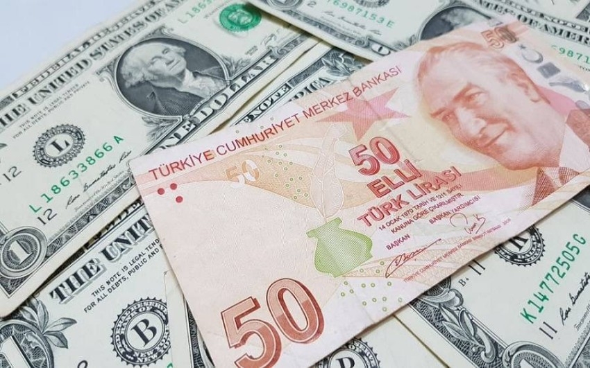 كم سعر الدولار في تركيا