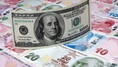 كم سعر الدولار في تركيا